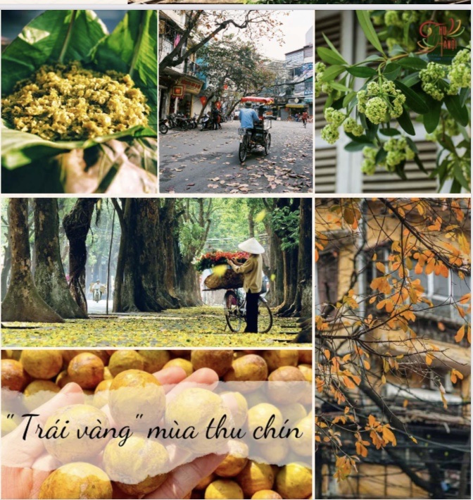 Vẻ đẹp Thu Hà Nội: Dấu ấn với du khách thập phương